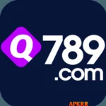 Q789 Game